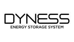 Dyness